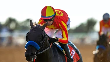 Datos de las carreras americanas (Simulcast Santa Anita 22/10/2022)