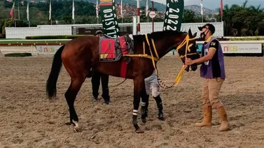 Así ajustó Quiboreña antes de su prueba el domingo en La Rinconada