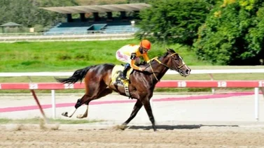 De esta manera fue el ajuste realizado por Philomena a días de su carrera del domingo en La Rinconada