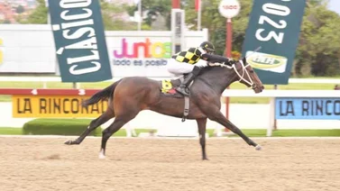 Esta Yegua tuvo ajuste extraordinario de cara a participar en el Clásico Hipódromo La Rinconada