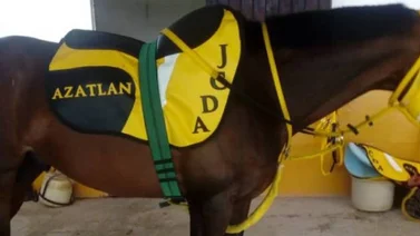 Juan Carlos de Abreu entrenador para el Stud Azatlán buscará la suerte con nuevas gualdrapas