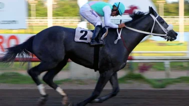 Este caballo ganó la carrera más importante de Panamá y lo entrena un venezolano