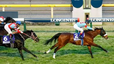 Mira aquí cuántos votos recibió la japonesa Almond Eye para ingresar al Salón de la Fama Mira aquí cuántos votos recibió la japonesa Almond Eye para ingresar al Salón de la Fama