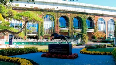 Anuncian suspensión de ejercicios de entrenamientos en Belmont Park y Saratoga