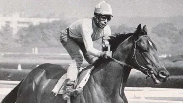 Hace 52 años terminó el sueño nacional con Cañonero en el Belmont Stakes