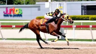 Haras La Orlyana con tres triunfos en la reunión 21 de La Rinconada