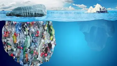 Más vigente que nunca: Día Mundial del Medio Ambiente Más vigente que nunca: Día Mundial del Medio Ambiente