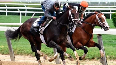 Así fueron los últimos trabajos de los participantes del Belmont Stakes