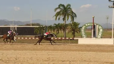Estos son los inscritos para la reunión 11 en el Hipódromo Nacional de Valencia