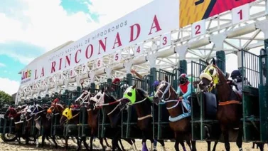 ¿Cuáles ejemplares participarán en el Clásico José Antonio Páez en La Rinconada? Aquí te lo contamos