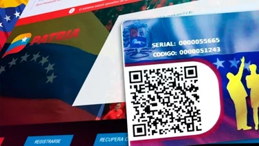 ¿Cómo pagar los servicios a través de la plataforma Patria?