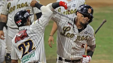 LVBP: Prepárate, los Leones del Caracas ya comenzaron el proceso de abonados para la temporada 2023/24