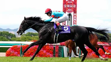 El mejor caballo del mundo ganó en Japón y este fue su rating