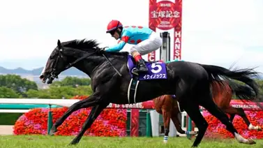 El mejor caballo del mundo ganó en Japón y este fue su rating El mejor caballo del mundo ganó en Japón y este fue su rating