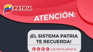 A través de los siguientes números puedes comunicarte con el Sistema Patria