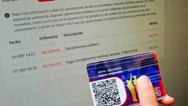 Conoce los servicios que puedes pagar a través del Sistema Patria