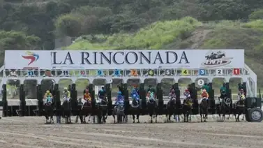 INH presenta a los inscritos para la reunión 26 en La Rinconada INH presenta a los inscritos para la reunión 26 en La Rinconada