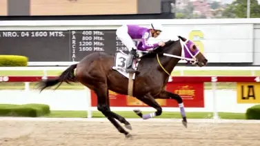 Entérate qué informó Ramón García Mosquera sobre Li Tre Fratelli en La Rinconada Entérate qué informó Ramón García Mosquera sobre Li Tre Fratelli en La Rinconada