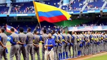 Todo lo que debes conocer de la Liga Profesional de Beisbol Colombiano (LPB) Todo lo que debes conocer de la Liga Profesional de Beisbol Colombiano (LPB)