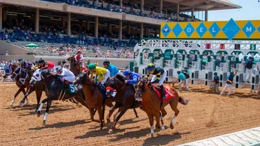 Arranca la acción hípica este viernes en Del Mar