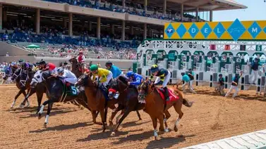 Arranca la acción hípica este viernes en Del Mar Arranca la acción hípica este viernes en Del Mar