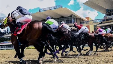 Retirados para el Hipódromo La Rinconada 23-7-2023