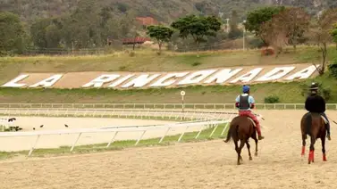 Así ajusta Mamba Mentality de cara a su carrera del próximo domingo en La Rinconada Así ajusta Mamba Mentality de cara a su carrera del próximo domingo en La Rinconada