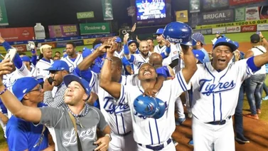 Mira en que estadio de Grandes Ligas jugarán las Águilas Cibaeñas y los Tigres del Licey