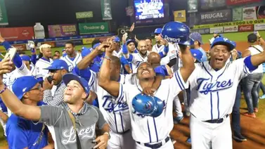 Mira en que estadio de Grandes Ligas jugarán las Águilas Cibaeñas y los Tigres del Licey Mira en que estadio de Grandes Ligas jugarán las Águilas Cibaeñas y los Tigres del Licey