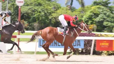 Así ajustó Masttery para la reunión 29 de La Rinconada Así ajustó Masttery para la reunión 29 de La Rinconada