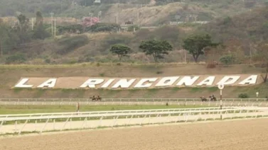 Datos de Última Hora para el Hipódromo La Rinconada 5-11-2023