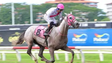 Entrenador venezolano gana el clásico más importante del domingo en Panamá Entrenador venezolano gana el clásico más importante del domingo en Panamá