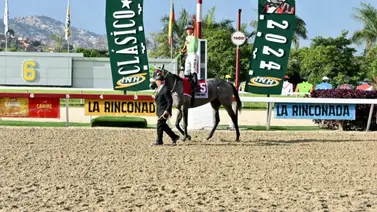 Lemon White no correrá el Clásico Cría Nacional este domingo por esta razón Lemon White no correrá el Clásico Cría Nacional este domingo por esta razón