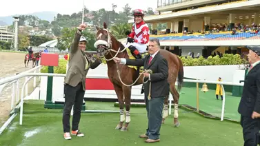 Mira el tiempo que tenía sin ganar Miguel Hernández en La Rinconada Mira el tiempo que tenía sin ganar Miguel Hernández en La Rinconada