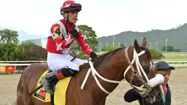 Mira lo que informó a los comisarios Johan Aranguren sobre Mr Teed Mira lo que informó a los comisarios Johan Aranguren sobre Mr Teed