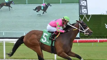 Emisael Jaramillo saca la cara este domingo en Gulfstream Park Emisael Jaramillo saca la cara este domingo en Gulfstream Park