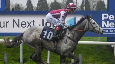 Suspendido jockey aprendiz luego de empatar una carrera en este hipódromo Suspendido jockey aprendiz luego de empatar una carrera en este hipódromo