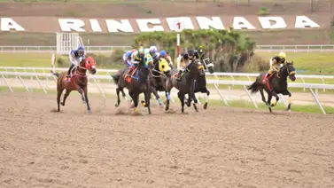 Van seis participantes para el Clásico Fuerza Armada Nacional Bolivariana Van seis participantes para el Clásico Fuerza Armada Nacional Bolivariana