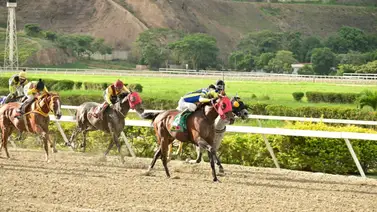 Estos son los participantes de la primera edición de la Copa “Ángel Francisco Parra” Estos son los participantes de la primera edición de la Copa “Ángel Francisco Parra”
