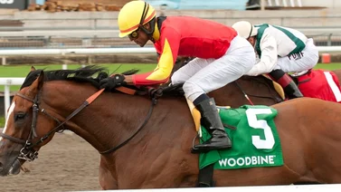30 stakes en 12 hipódromos se disputan este sábado 6 de julio en Estados Unidos