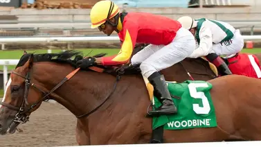 30 stakes en 12 hipódromos se disputan este sábado 6 de julio en Estados Unidos 30 stakes en 12 hipódromos se disputan este sábado 6 de julio en Estados Unidos