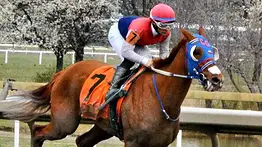 Jockey aprendiz boricua triplica victorias en este hipódromo de Estados Unidos