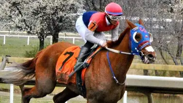 Jockey aprendiz boricua triplica victorias en este hipódromo de Estados Unidos Jockey aprendiz boricua triplica victorias en este hipódromo de Estados Unidos