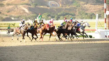 Reaparece en La Rinconada nieto de ganador de Graded Stakes en Estados Unidos Reaparece en La Rinconada nieto de ganador de Graded Stakes en Estados Unidos