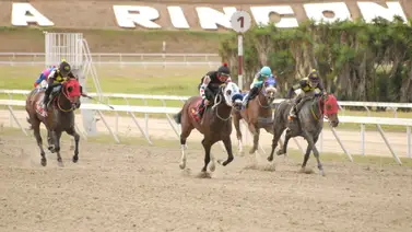 Hijo de Le Capannelle debuta con bastante trabajos en La Rinconada Hijo de Le Capannelle debuta con bastante trabajos en La Rinconada