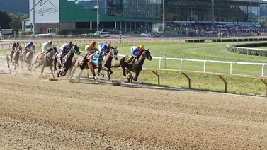 José Armando Bracho se acerca a importante cantidad de victorias en Estados Unidos José Armando Bracho se acerca a importante cantidad de victorias en Estados Unidos