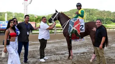 Nieto de Fusaichi Pegasus gana el tercer paso de la triple corona en Puerto Rico Nieto de Fusaichi Pegasus gana el tercer paso de la triple corona en Puerto Rico