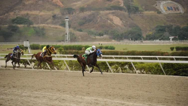 Caballo que puede sorprender en el 5y6 reaparece después de 154 días