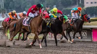 Mira lo que hizó este entrenador en el segundo paso de la triple corona del hipismo en México Mira lo que hizó este entrenador en el segundo paso de la triple corona del hipismo en México
