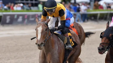 Potra que costó $2.000.000 va con Irad Ortiz Jr. esta semana